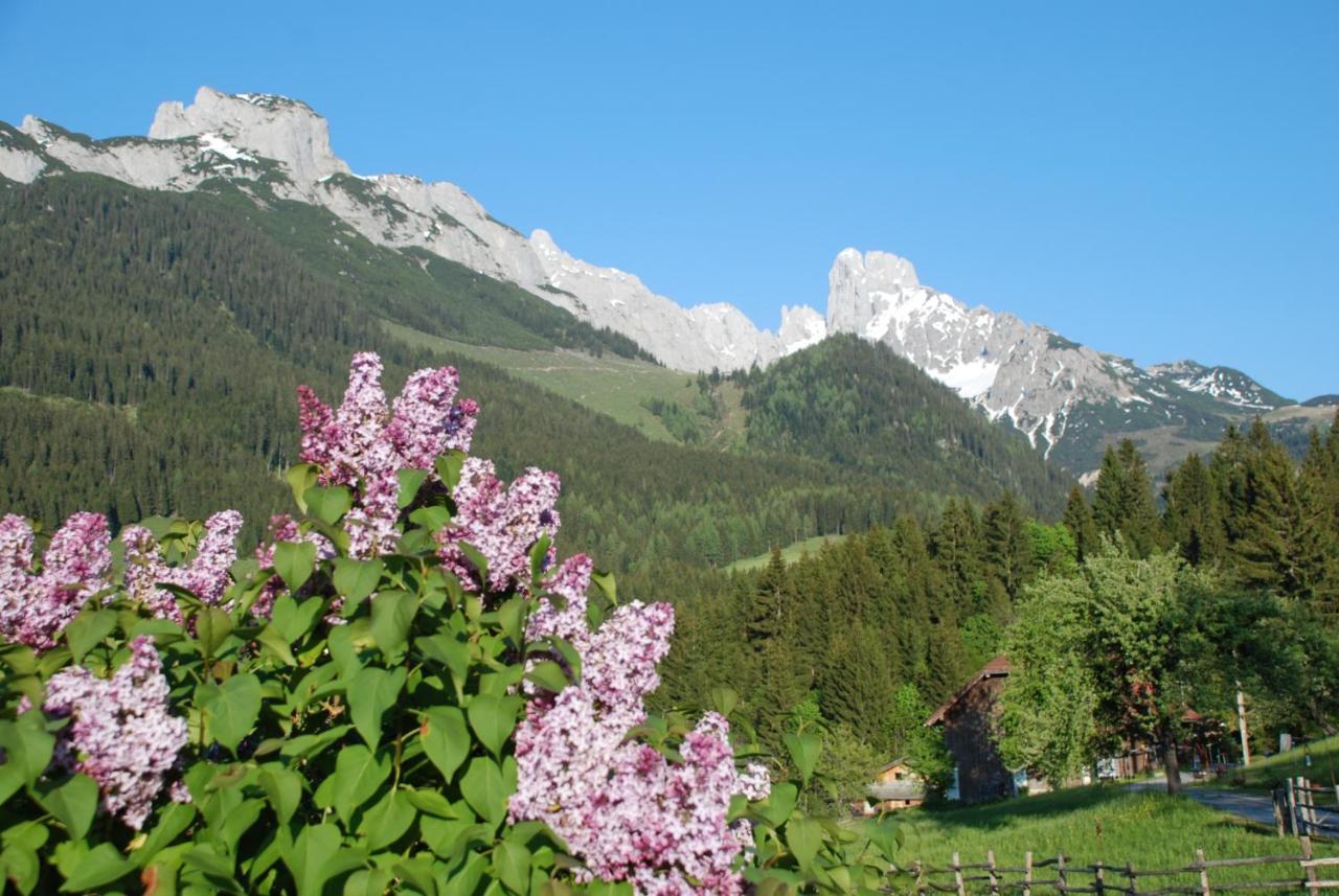 Alpenhaus Donnerkogel Apartamento Annaberg im Lammertal Exterior foto