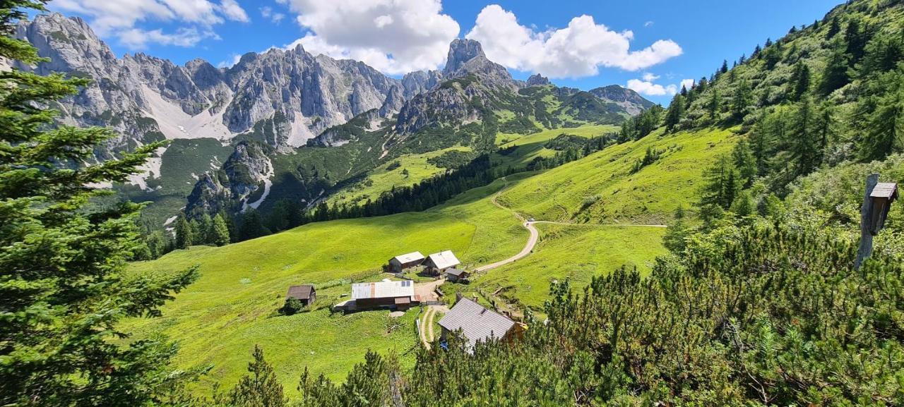 Alpenhaus Donnerkogel Apartamento Annaberg im Lammertal Exterior foto