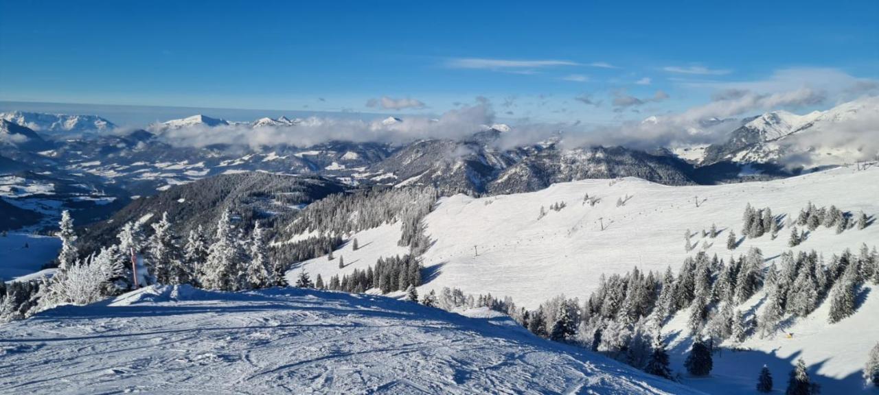 Alpenhaus Donnerkogel Apartamento Annaberg im Lammertal Exterior foto